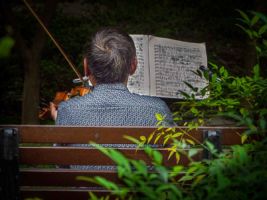 You'll find all kinds of musical instruments being practiced and played around Shanghai.