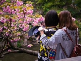 Photographing the moment they took a selfie at a beautiful garden in China.